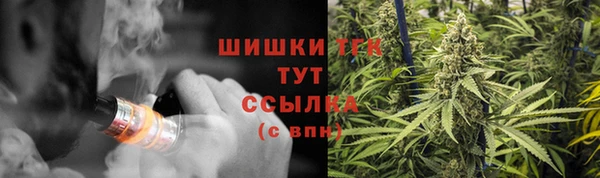 мет Инсар