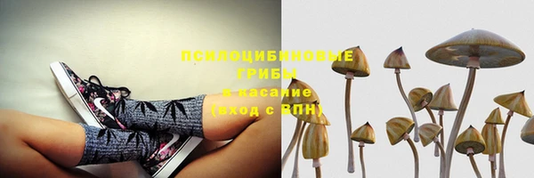 мет Инсар
